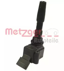 metzger-0880198